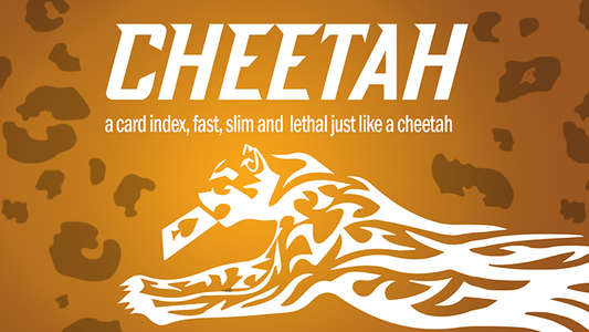 Cheetah by German Dabat and Michel